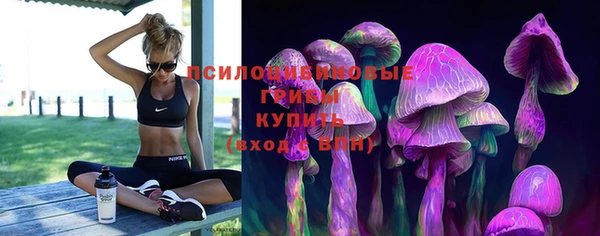 стаф Алексеевка